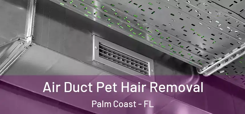  Air Duct Pet Hair Removal Palm Coast - FL