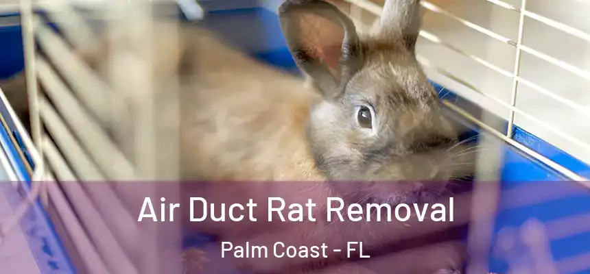 Air Duct Rat Removal Palm Coast - FL