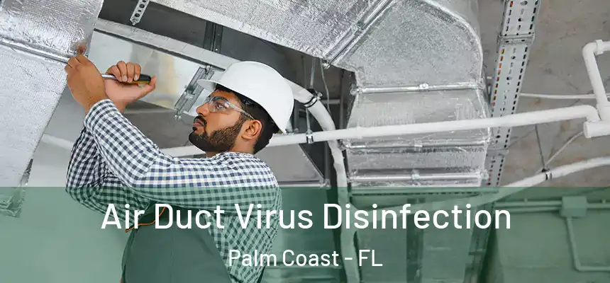 Air Duct Virus Disinfection Palm Coast - FL
