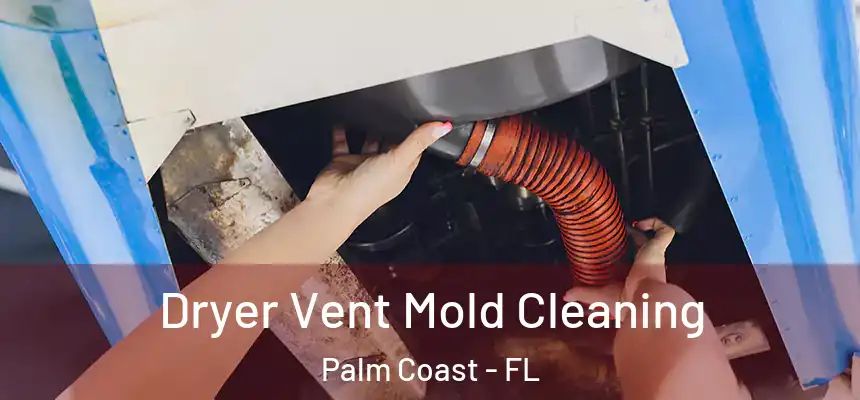 Dryer Vent Mold Cleaning Palm Coast - FL