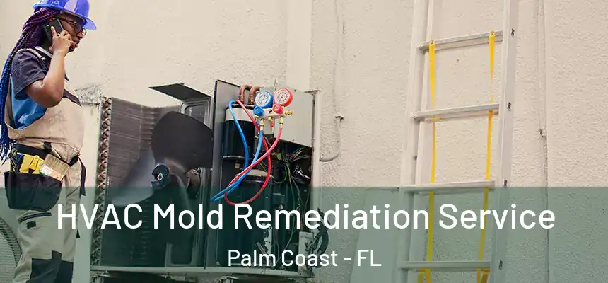 HVAC Mold Remediation Service Palm Coast - FL