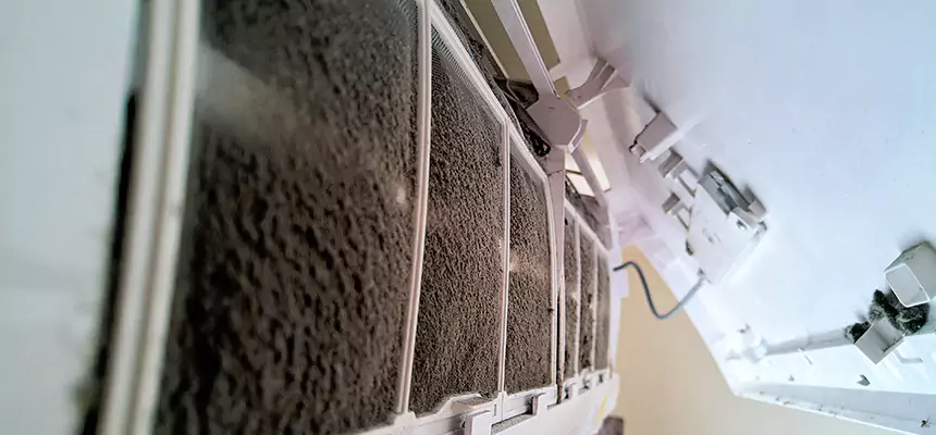 Preventive Air Duct Bacteria Removal in Palm Coast