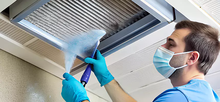 Proactive Dryer Vent & Auxiliary Duct Pollen Cleanup in Palm Coast, FL