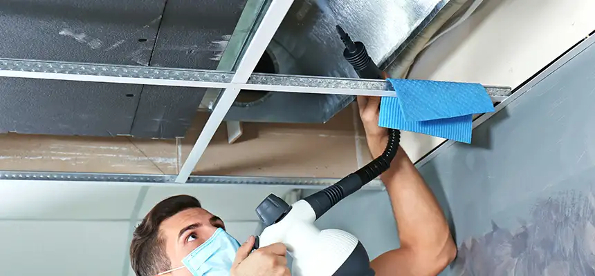 Our Air Duct Rodent Removal Services in Palm Coast, FL