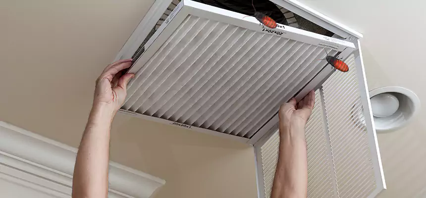 Our Insect Removal from Air Ducts Services in Palm Coast, FL