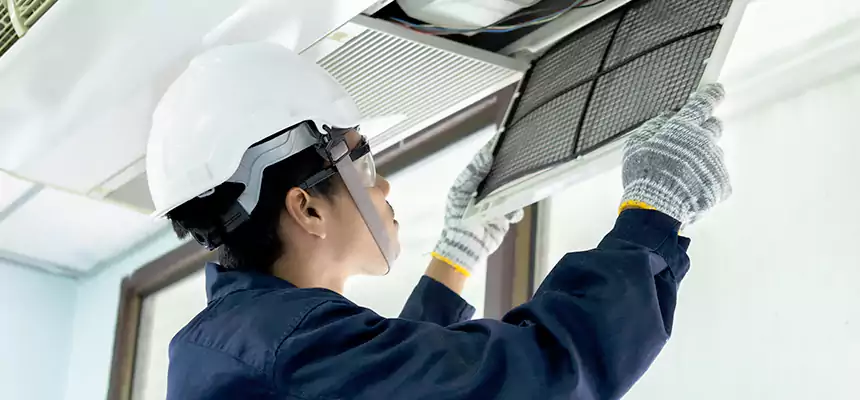 Our Mold & Mildew Removal from Air Ducts Services in Palm Coast, FL