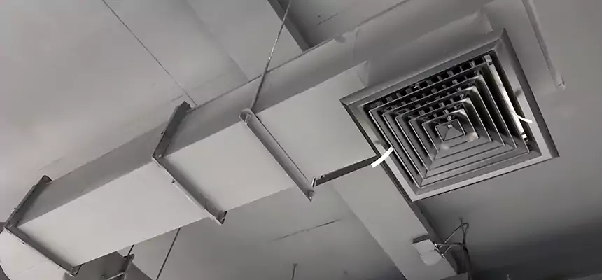 Our Pest Removal From Ducts Services in Palm Coast, FL