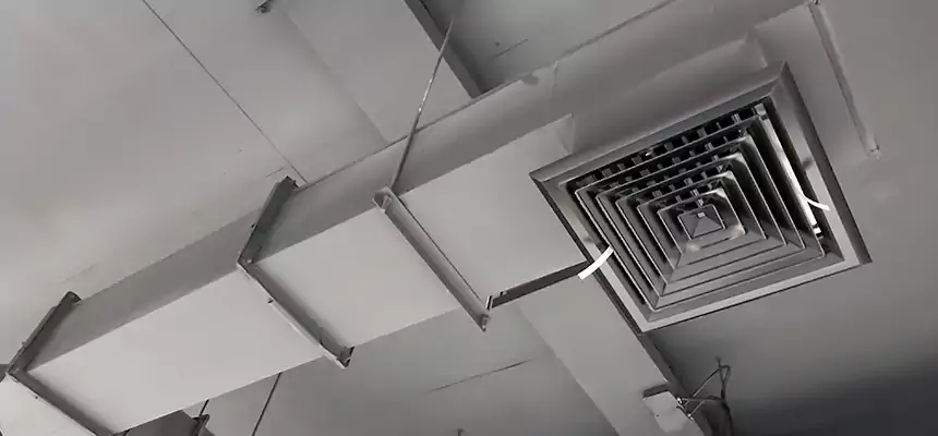 Our Rodent Droppings In Vents Services in Palm Coast, FL