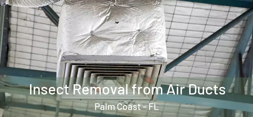 Insect Removal from Air Ducts Palm Coast - FL