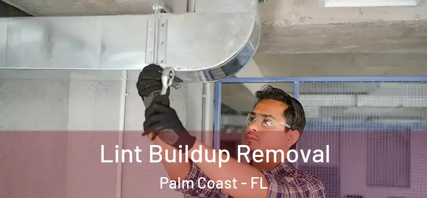 Lint Buildup Removal Palm Coast - FL