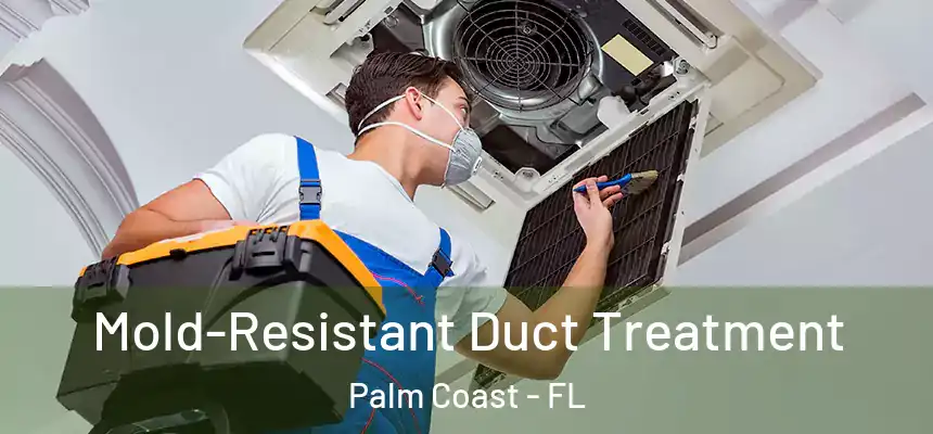 Mold-Resistant Duct Treatment Palm Coast - FL
