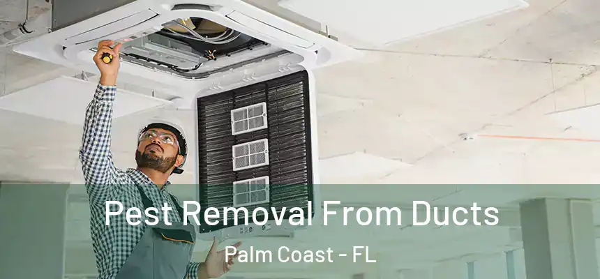 Pest Removal From Ducts Palm Coast - FL