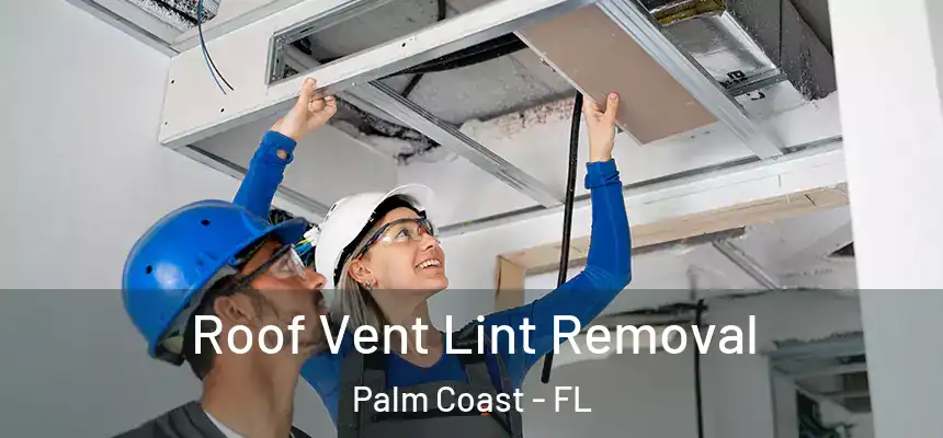 Roof Vent Lint Removal Palm Coast - FL