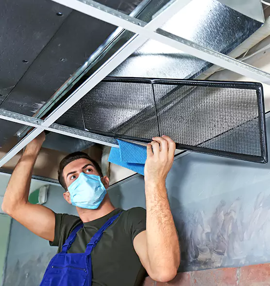 About Air Duct Bacteria Removal in Palm Coast
