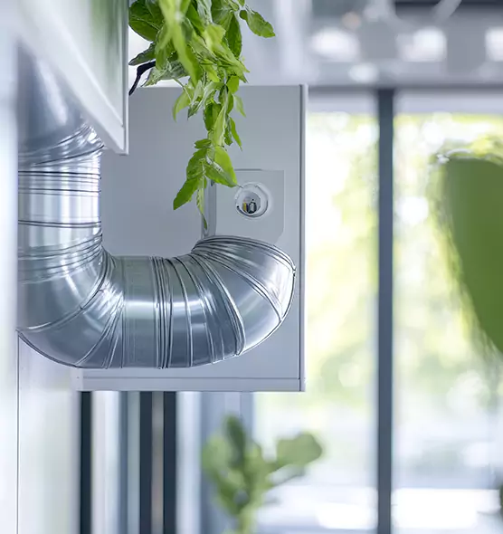 Professional Eco-Safe Dryer Vent Cleaning in Palm Coast, FL