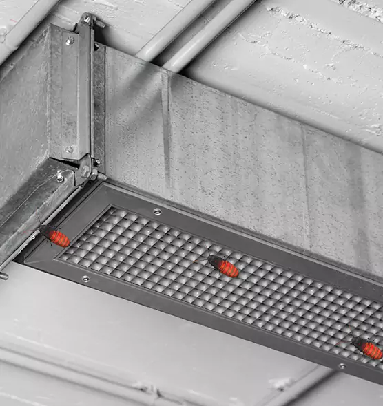 Affordable Insect Removal from Air Ducts in Palm Coast, FL