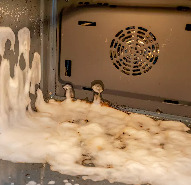 Why Homeowners Businesses Trust Us in Palm Coast, FL?