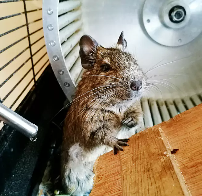 Why Homeowners & Businesses Trust Us Palm Coast, FL