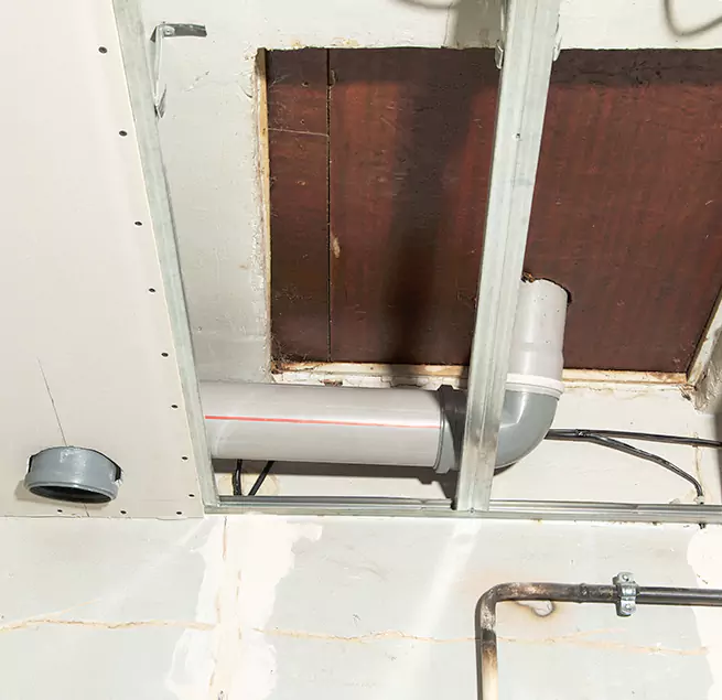 Why Homeowners & Businesses Trust Us in Palm Coast, FL?