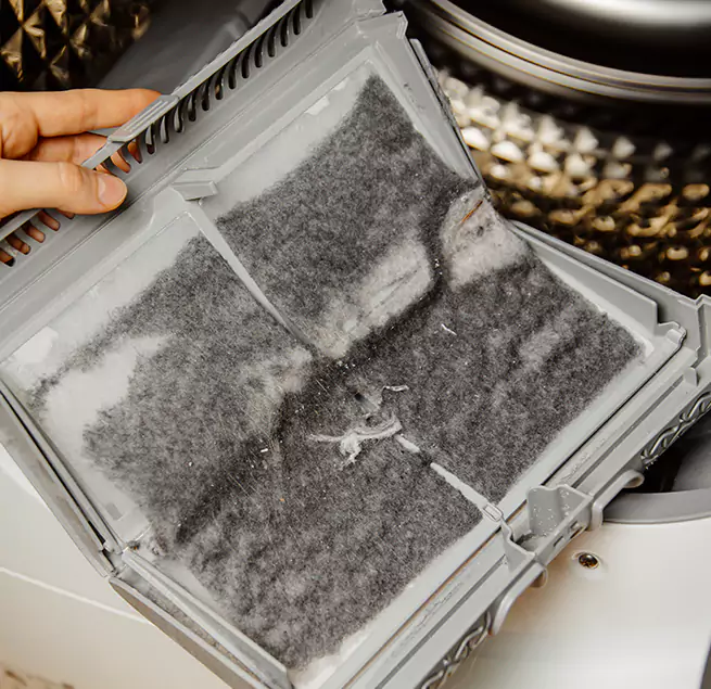 Why Homeowners & Businesses Trust Us Palm Coast, FL?