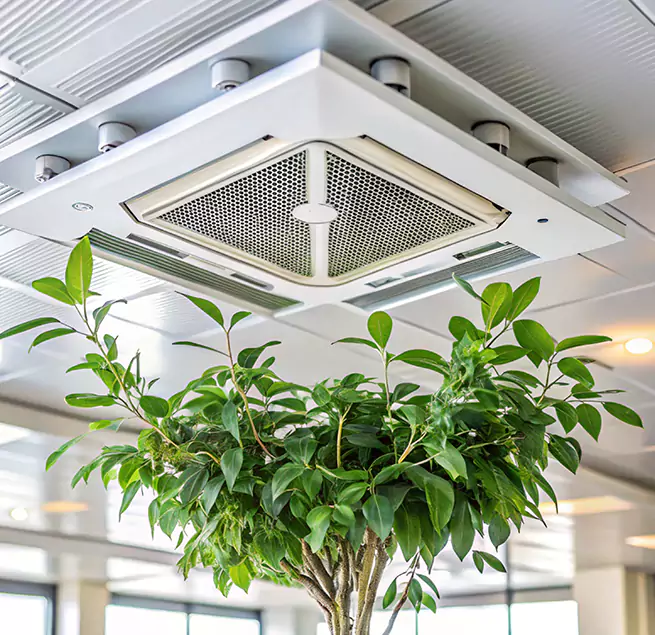 Why Homeowners & Businesses Trust Us in Palm Coast, FL?