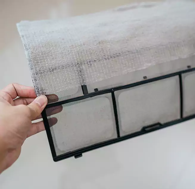 Why Homeowners & Businesses Trust Us in Palm Coast, FL?