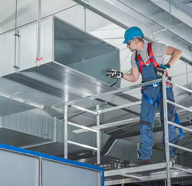 Why Homeowners Businesses Trust Us in Palm Coast, FL